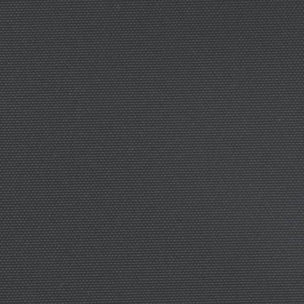 vidaXL lahtitõmmatav külgsein, must, 120 x 1200 cm