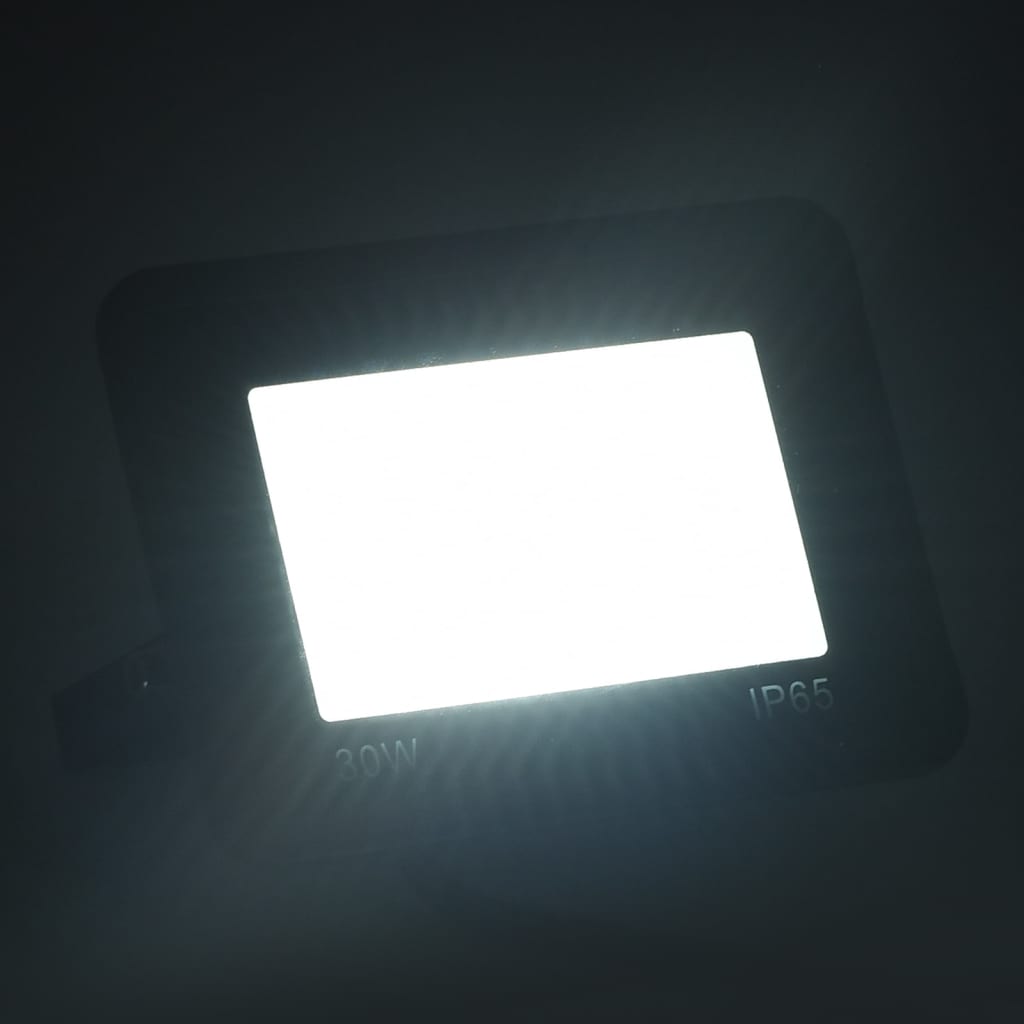 vidaXL LED prožektor 2 tk, 30 W, külm valge
