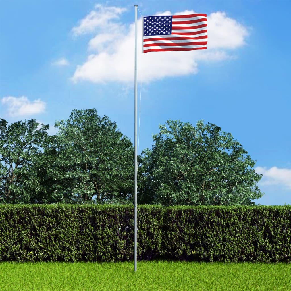vidaXL USA lipp ja lipumast, alumiinium, 4 m