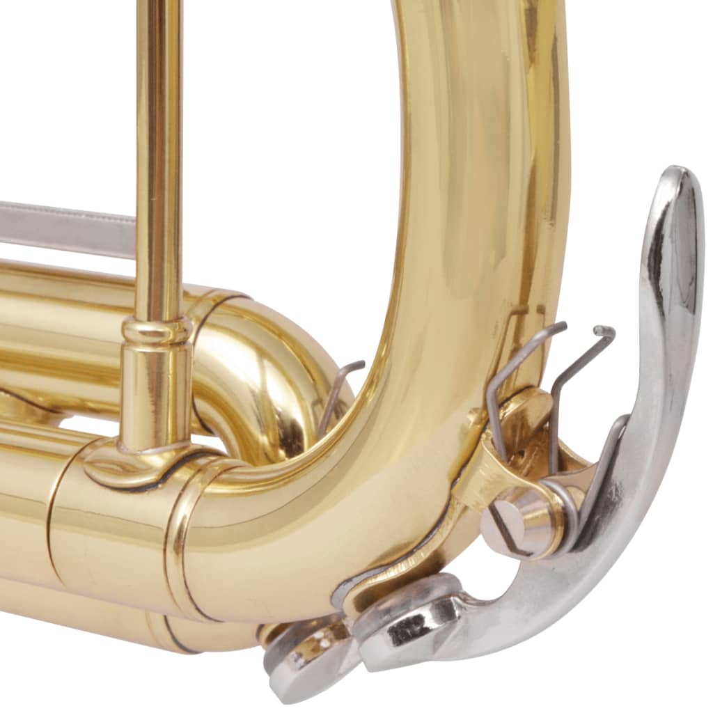vidaXLi trompet kollane messing, kuldlakiga Bb