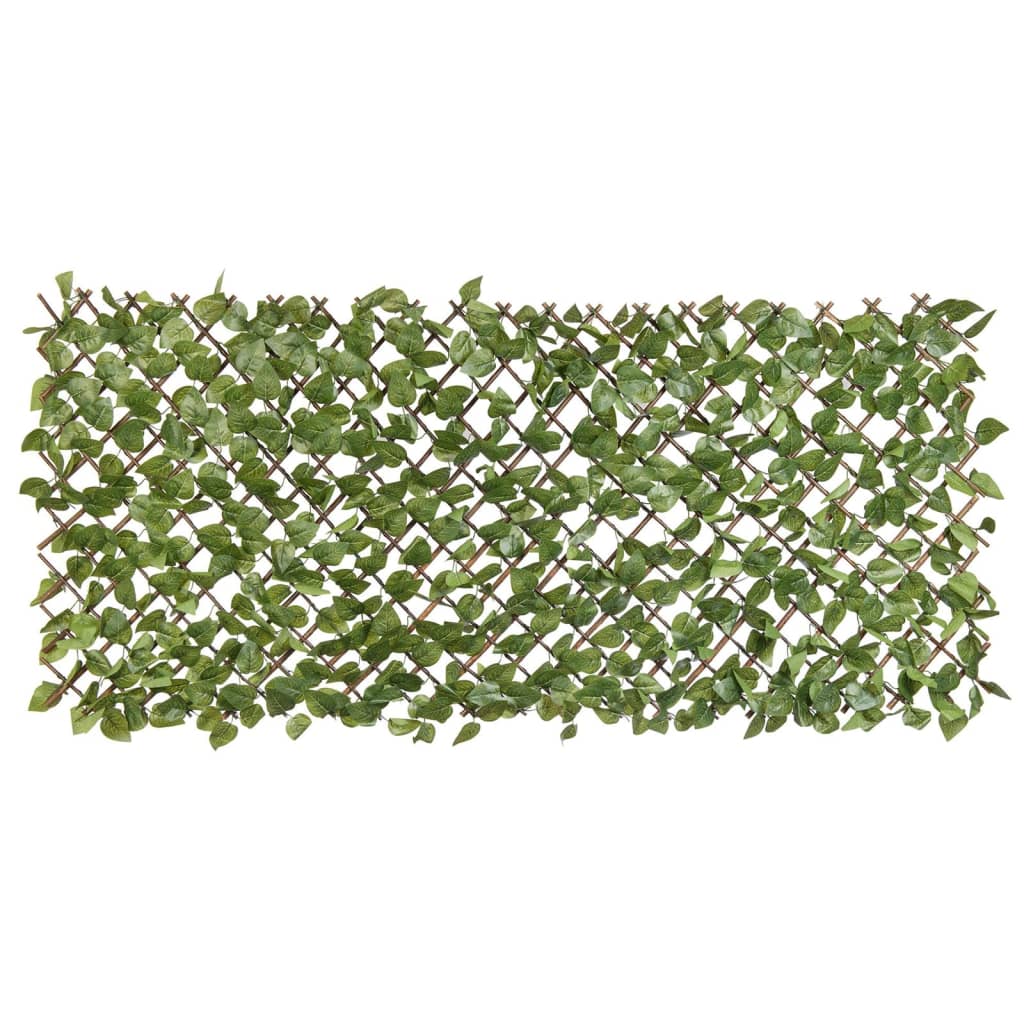 Nature aiavõre loorberiga, 90 x 180 cm rohelised lehed