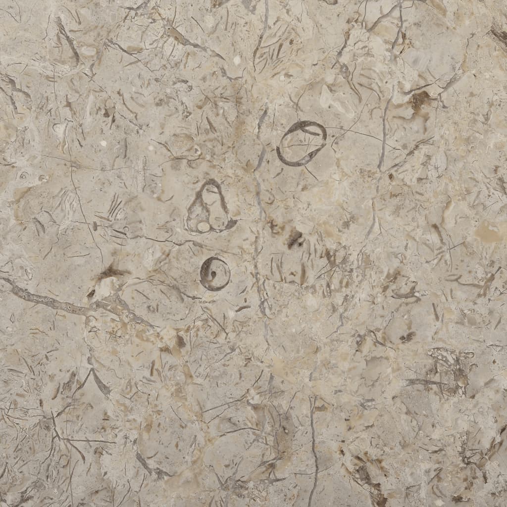 vidaXL lauaplaat, hall, Ø 50 x 2,5 cm, marmor