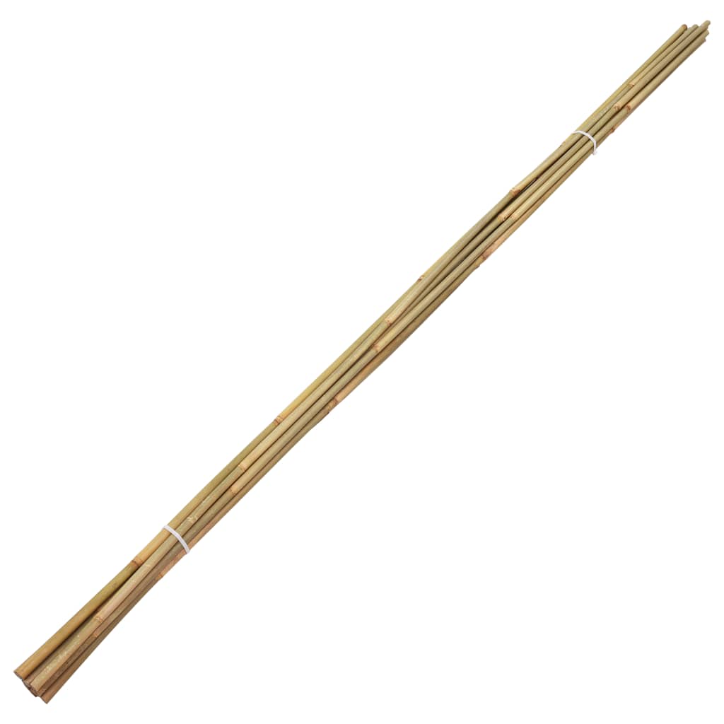 vidaXL bambusvaiad 50 tk 170 cm