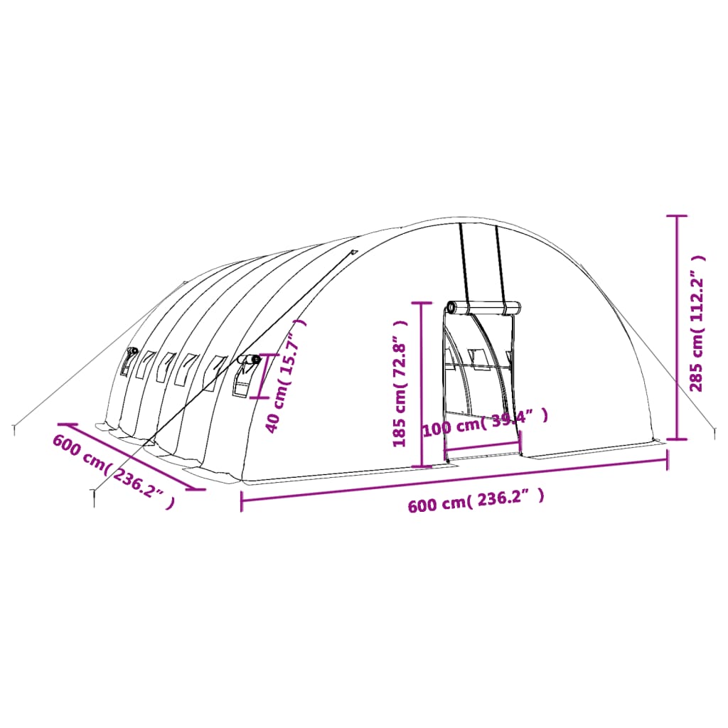 vidaXL kasvuhoone terasraamiga, valge, 36 m², 6x6x2,85 m
