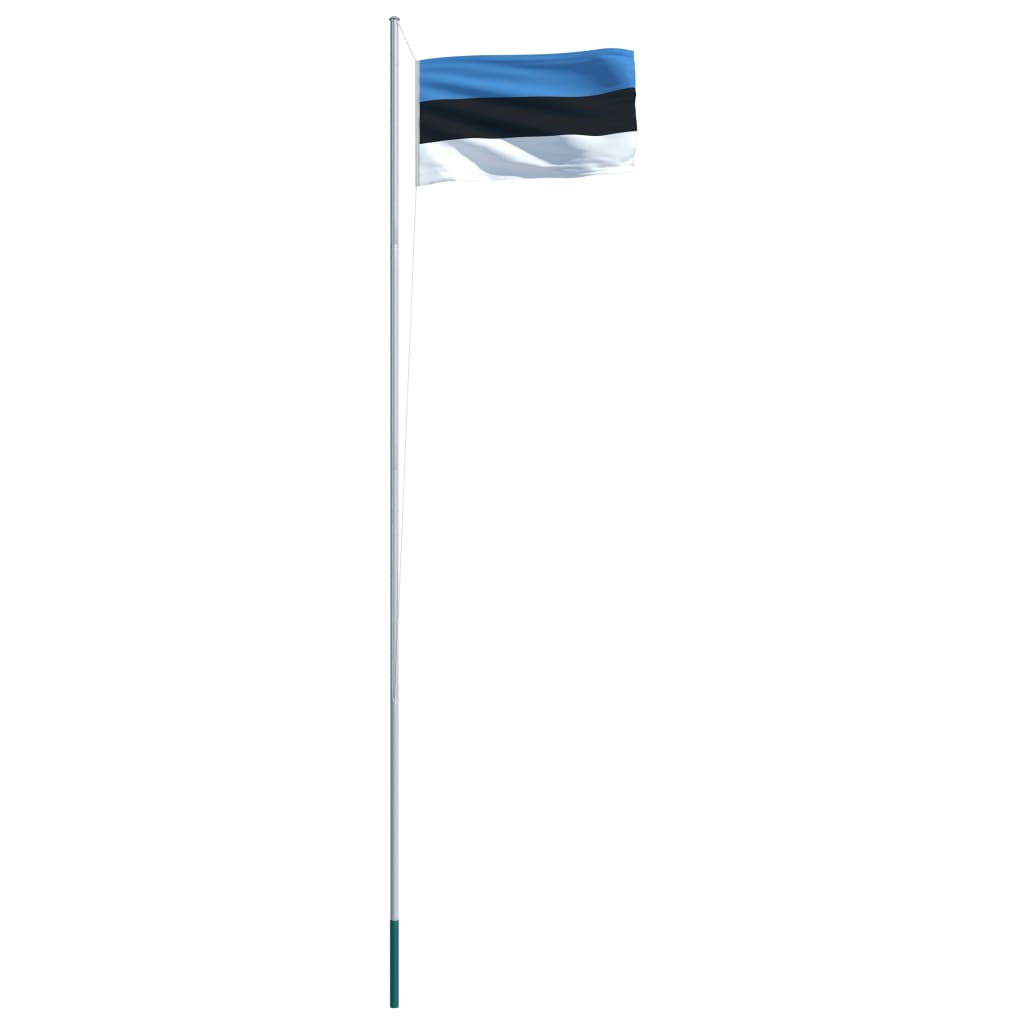 vidaXL Eesti lipp ja lipumast, alumiinium, 6,2 m