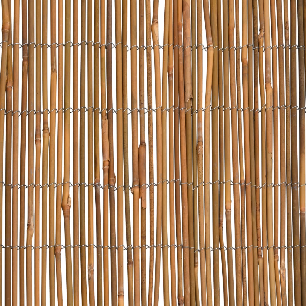 vidaXL bambusaed 500 x 100 cm