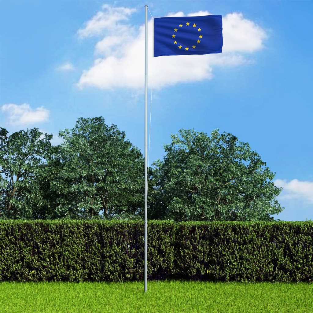 vidaXL Euroopa Liidu lipp 90 x 150 cm