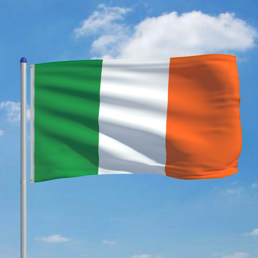vidaXL Iirimaa lipp ja lipumast, alumiinium, 6 m