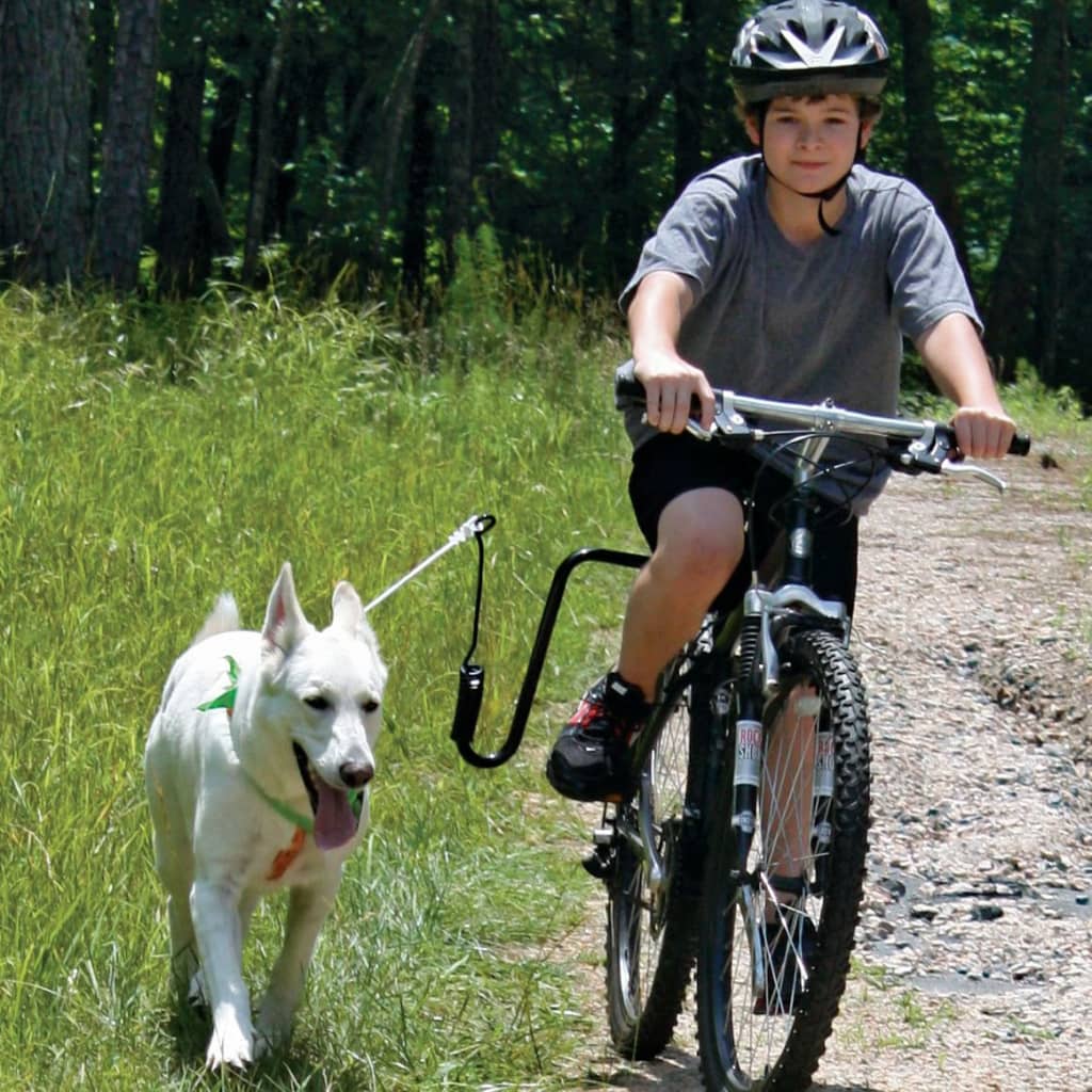 SPRINGER jalgrattakinnitus koerale