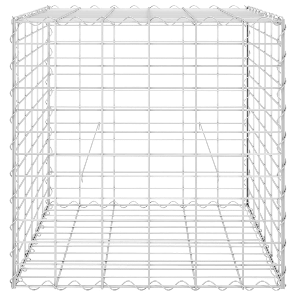 vidaXL kuubikukujuline gabioon-taimelava, teras 60 x 60 x 60 cm