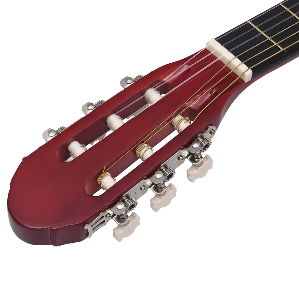 vidaXL 12-osaline Western kitarri komplekt ekvalaiseriga, 6 keelega