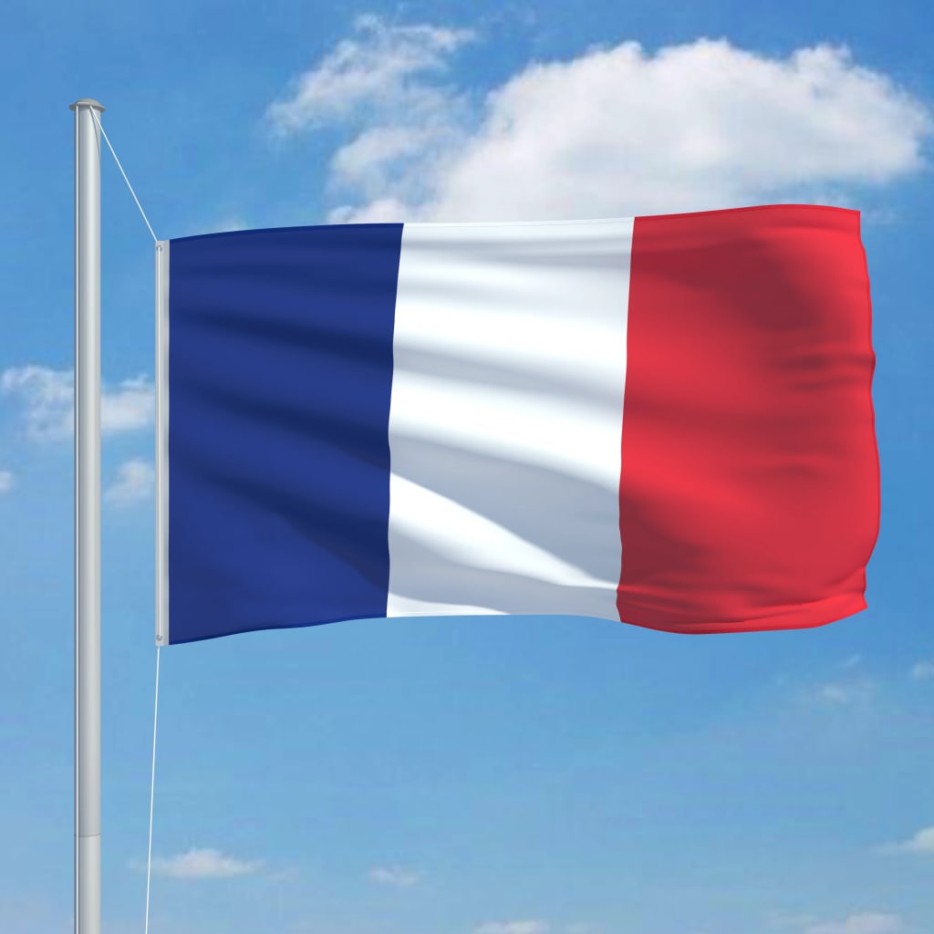 vidaXL Prantsusmaa lipp 90 x 150 cm