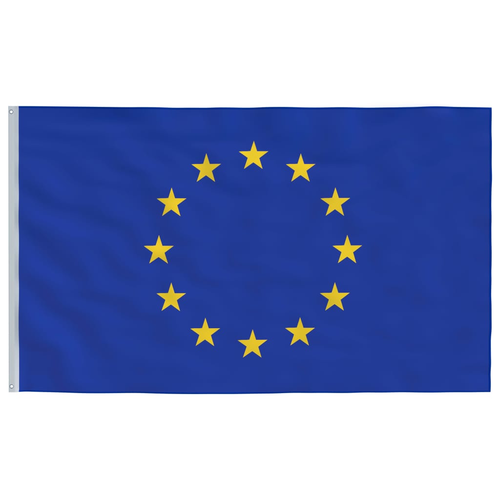 vidaXL Euroopa Liidu lipp ja lipumast, alumiinium, 4 m