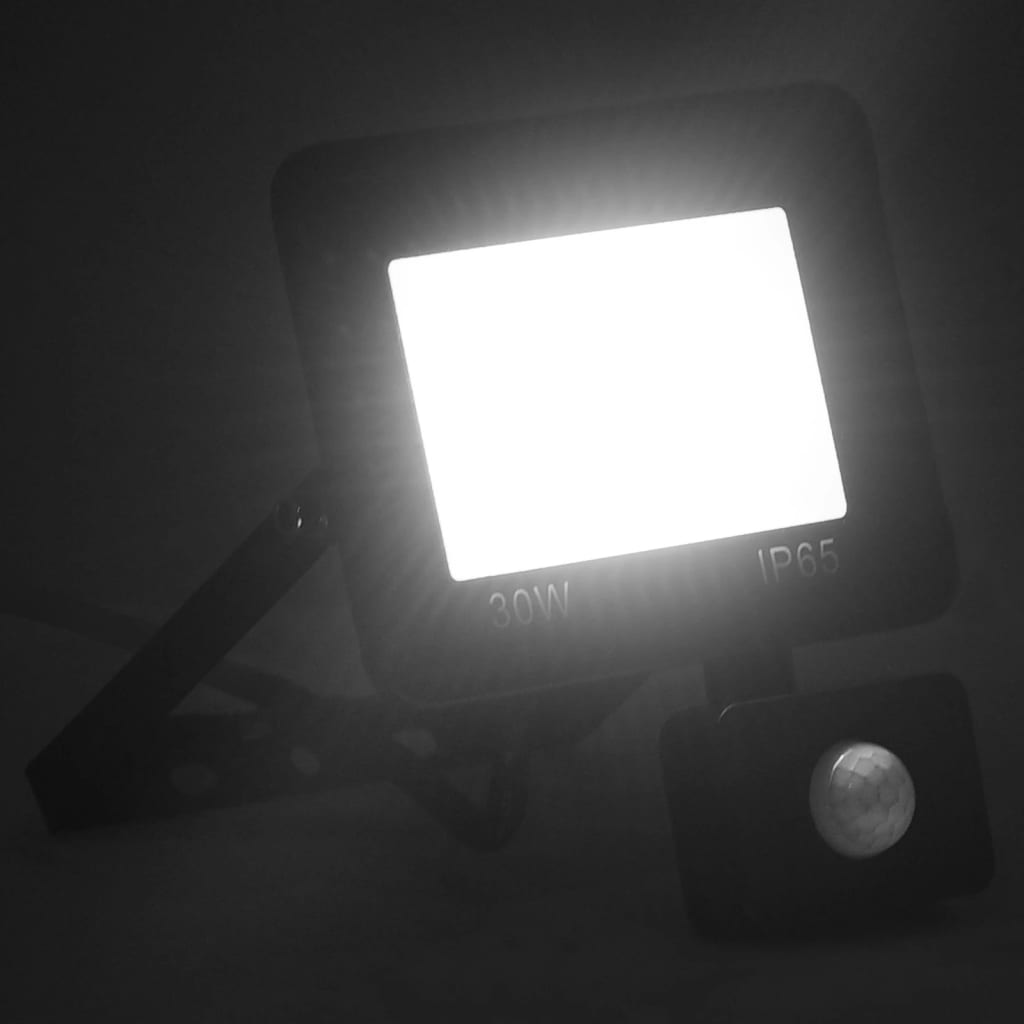 vidaXL anduriga LED prožektor, 30 W, külm valge