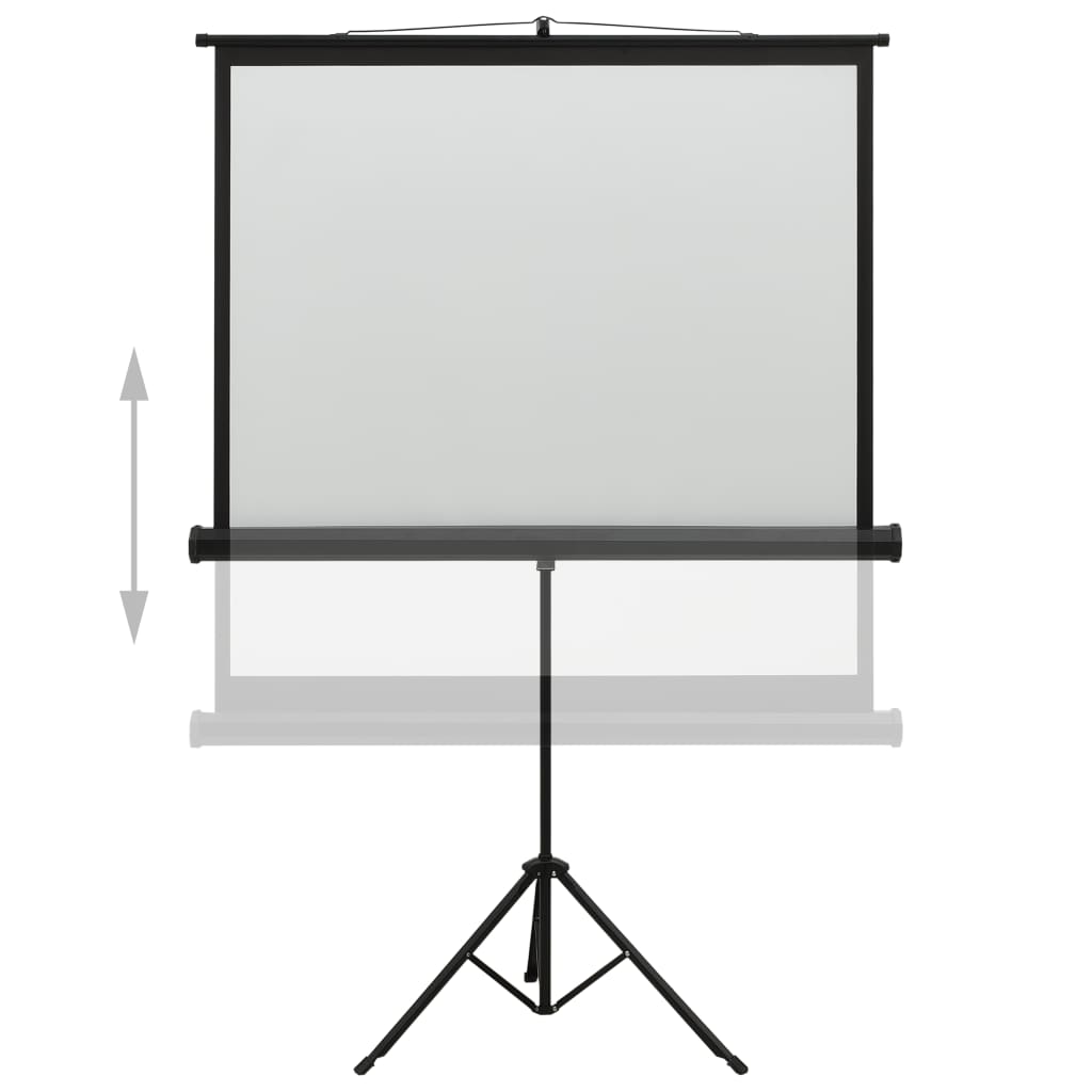 vidaXL projektori ekraan alusega, 48" 1:1