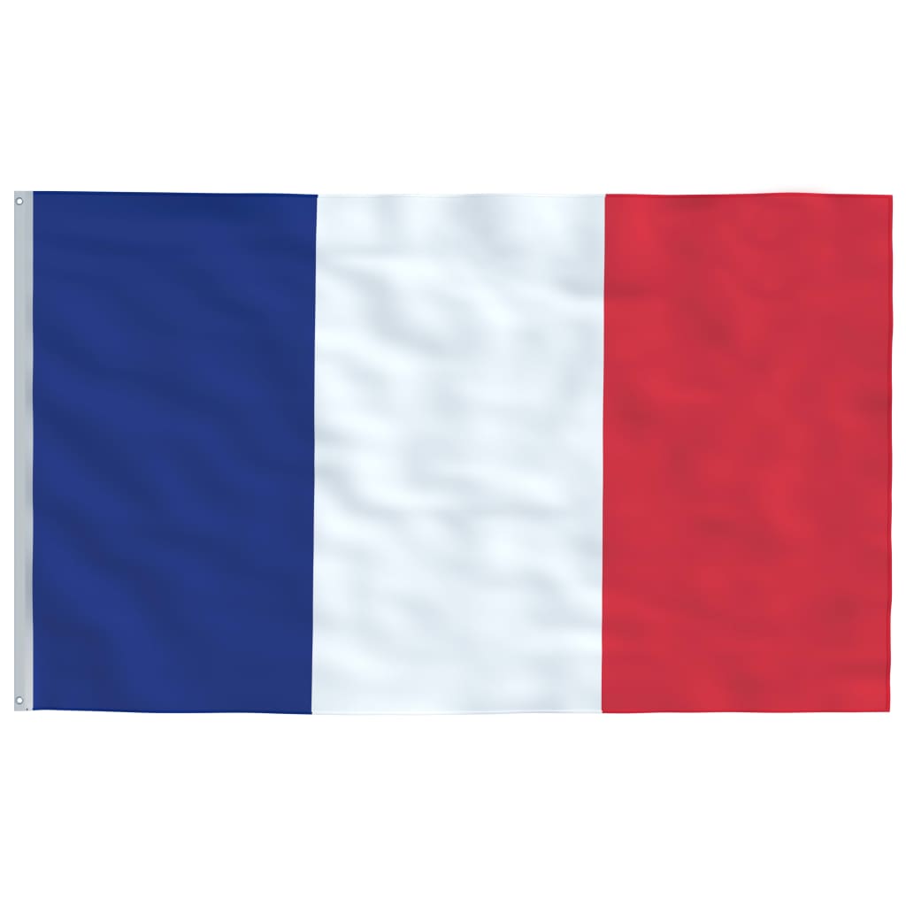 vidaXL Prantsusmaa lipp ja lipumast, 5,55 m, alumiinium
