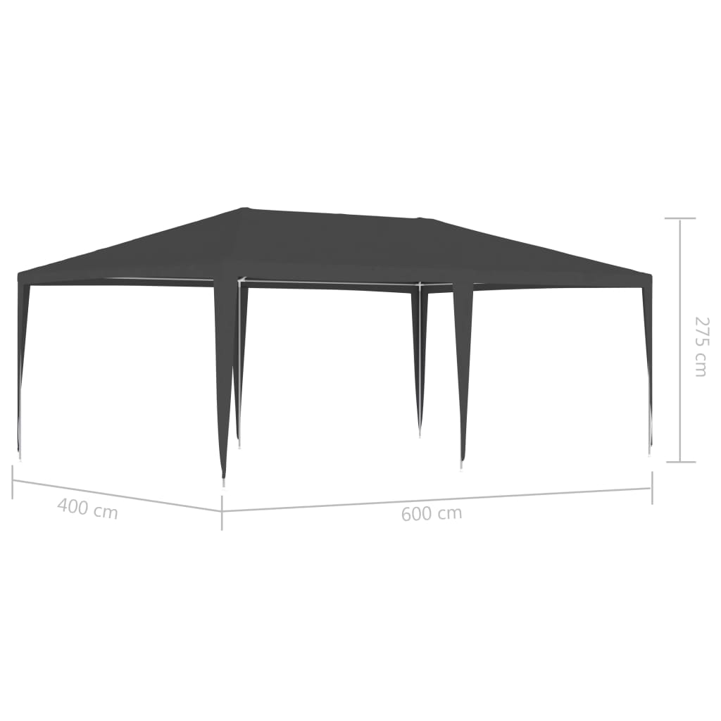 vidaXL professionaalne peotelk, 4 x 6 m, antratsiithall, 90 g/m²