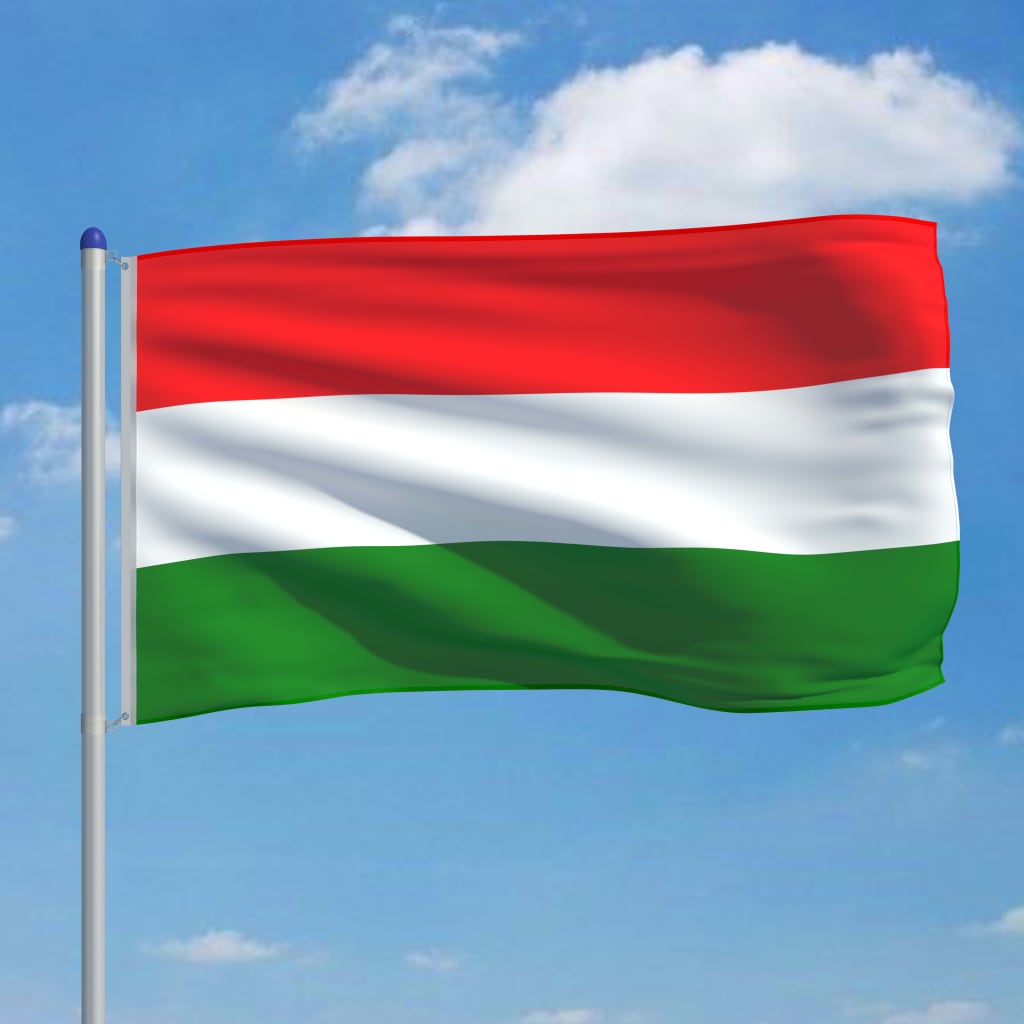vidaXL Ungari lipp ja lipumast, alumiinium, 6 m