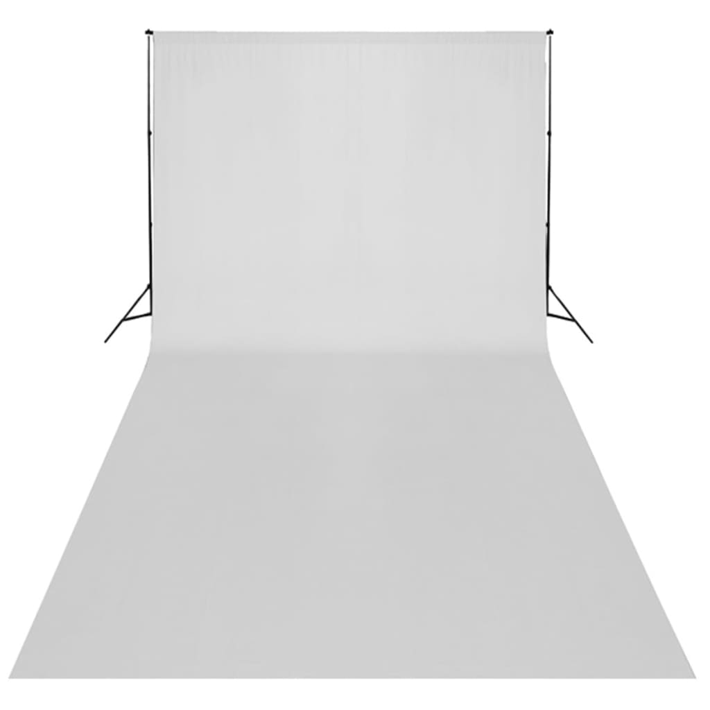 vidaXL stuudiokomplekt valge taustaga 600 x 300 cm ja valgustitega