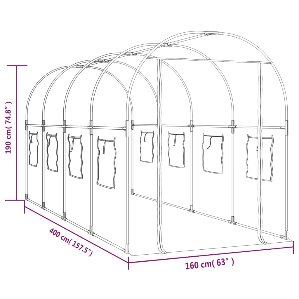 vidaXL kasvuhoone, läbipaistev, 160x400x190 cm, PVC ja teras
