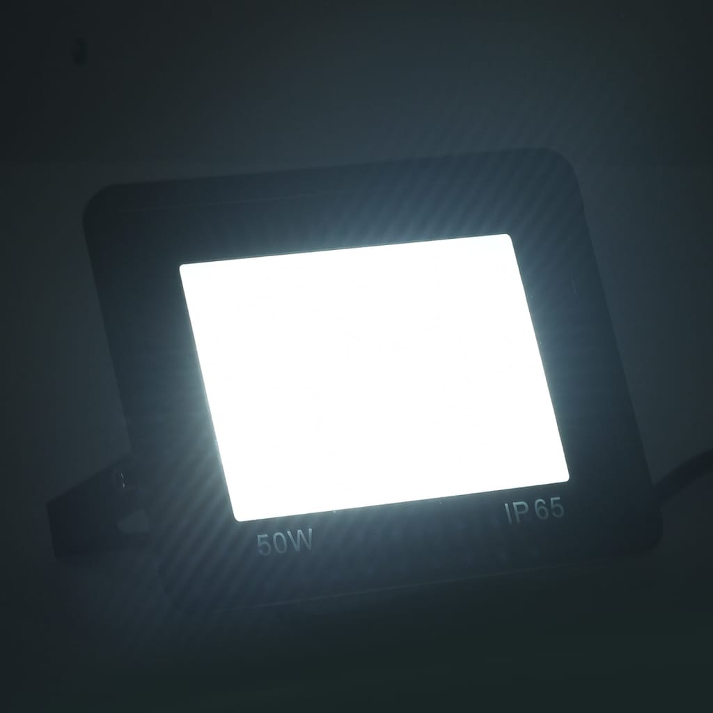 vidaXL LED prožektor 2 tk, 50 W, külm valge