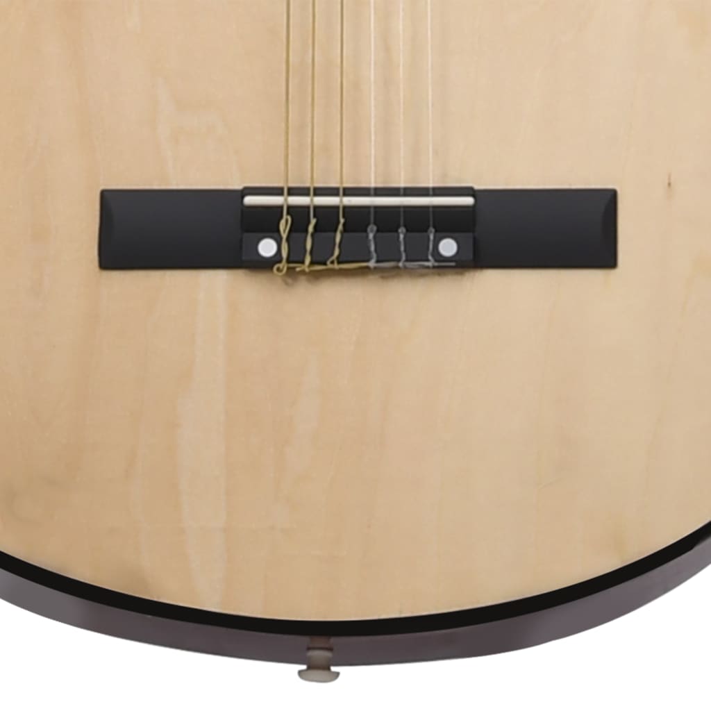 vidaXL 12-osaline Western kitarri komplekt ekvalaiseriga, 6 keelega