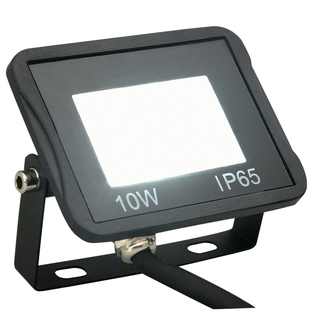 vidaXL LED-prožektor 2 tk, 10 W, külm valge