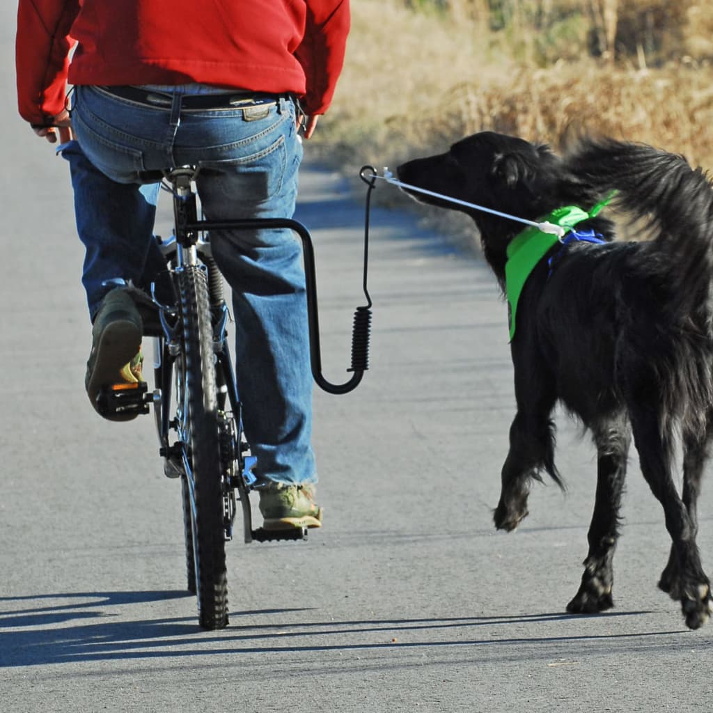 SPRINGER jalgrattakinnitus koerale