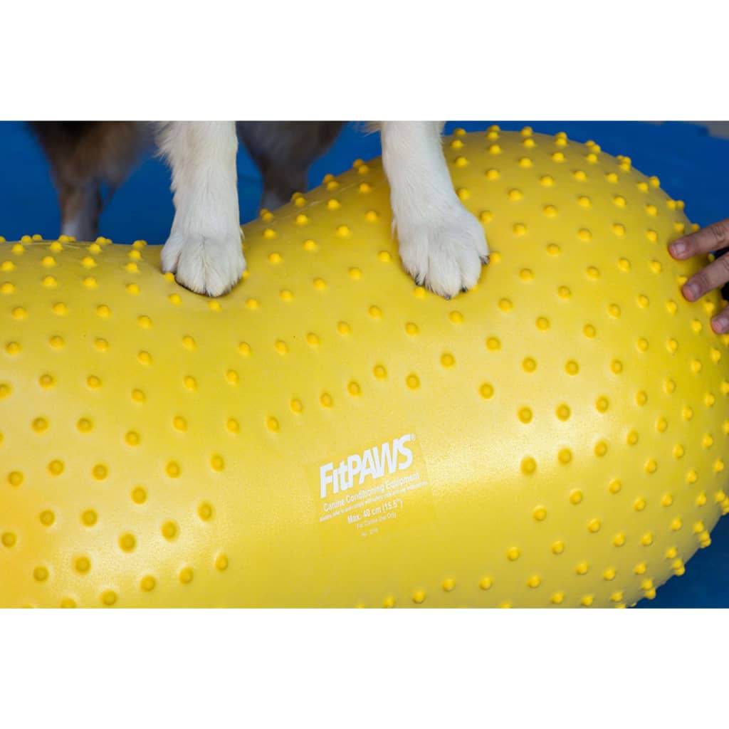FitPAWS lemmiklooma tasakaalualus "Trax Peanut" 40 cm, kollane