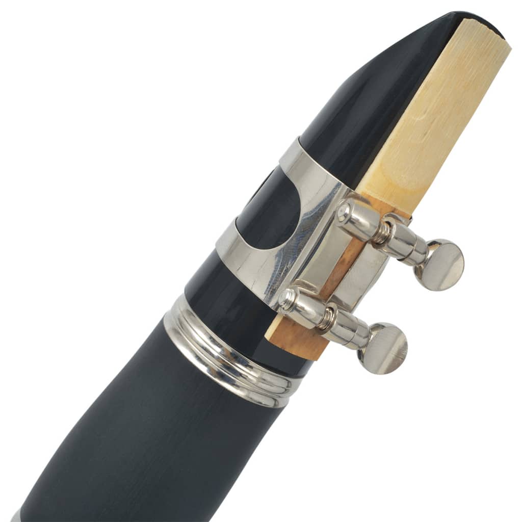 vidaXLi klarnet 17 klapiga pehmes kotis