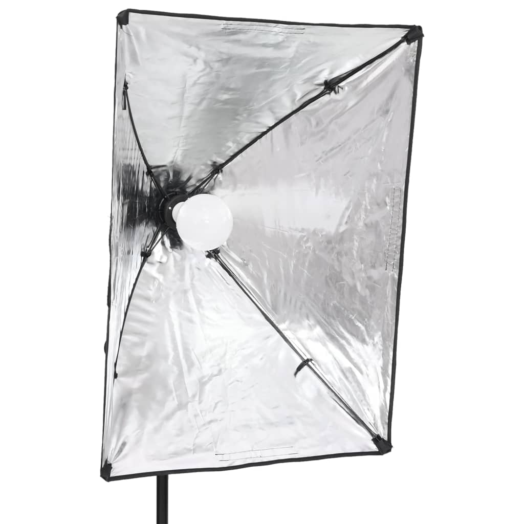 vidaXL professionaalne stuudiovalgusti 2 tk, 40 x 60 cm