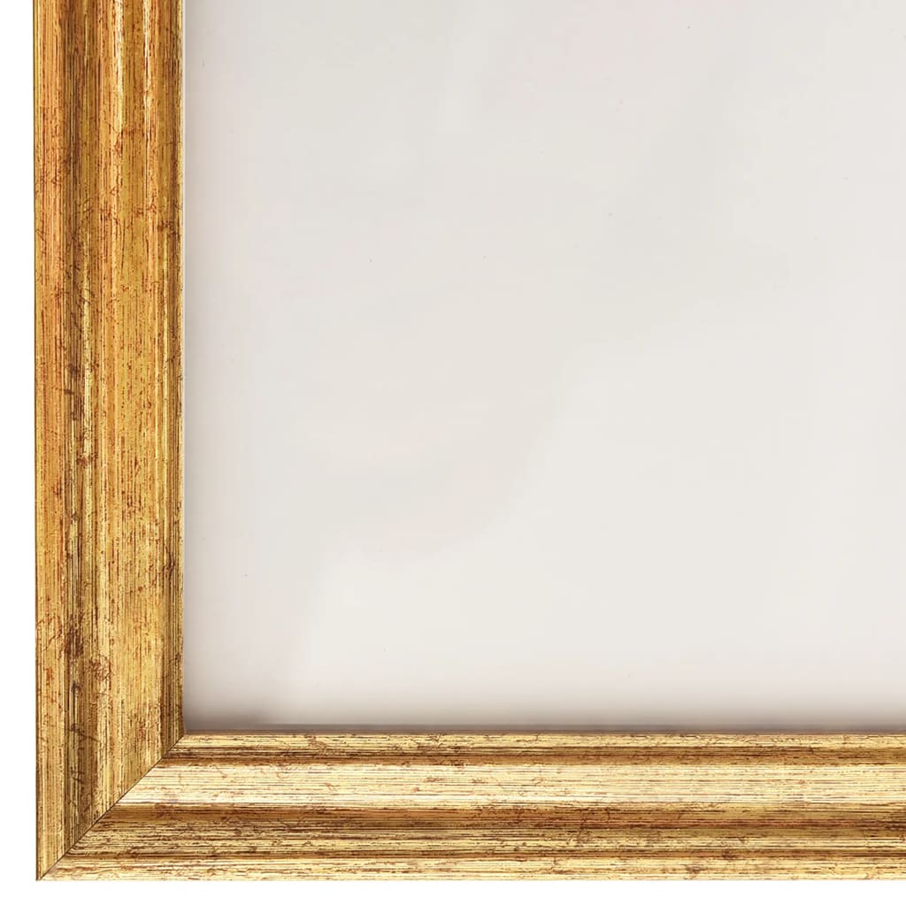 vidaXL pildiraamikomplekt seinale või lauale, kuldne, 59.4x84 cm, MDF