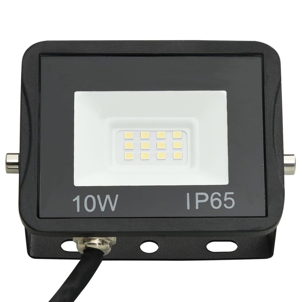 vidaXL LED prožektor, 10 W, külm valge