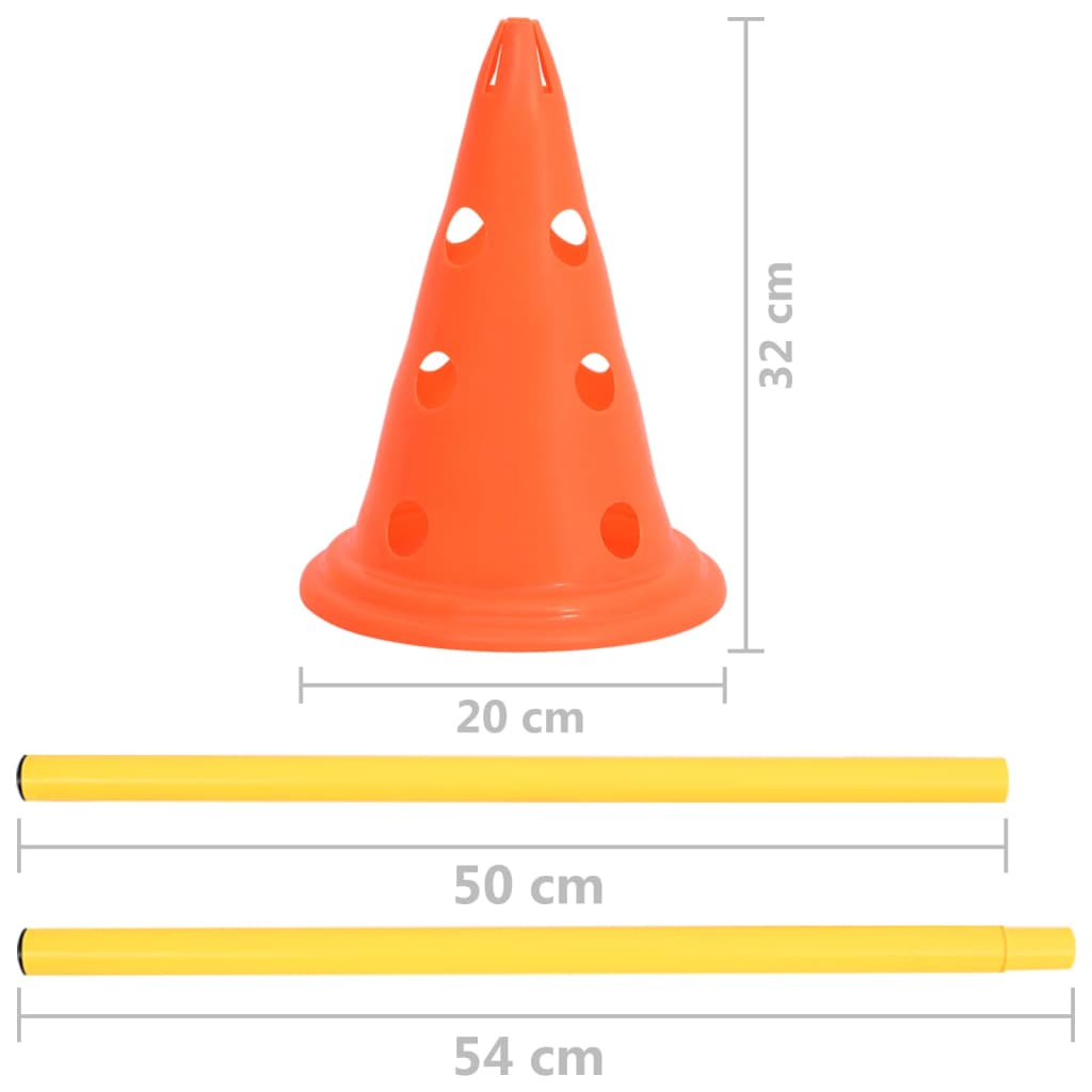 vidaXL koerte takistusraja komplekt, oranž ja kollane