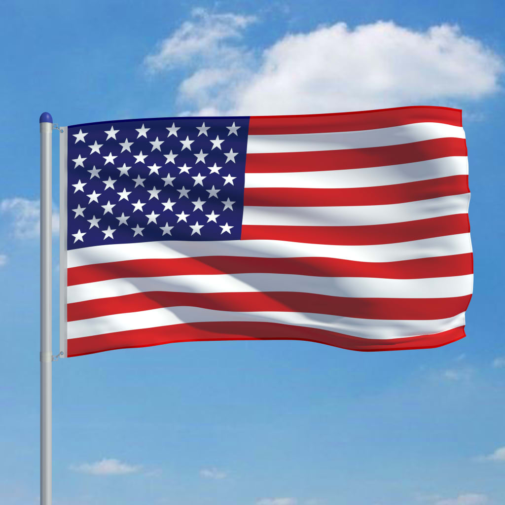 vidaXL USA lipp ja lipumast, alumiinium, 6 m