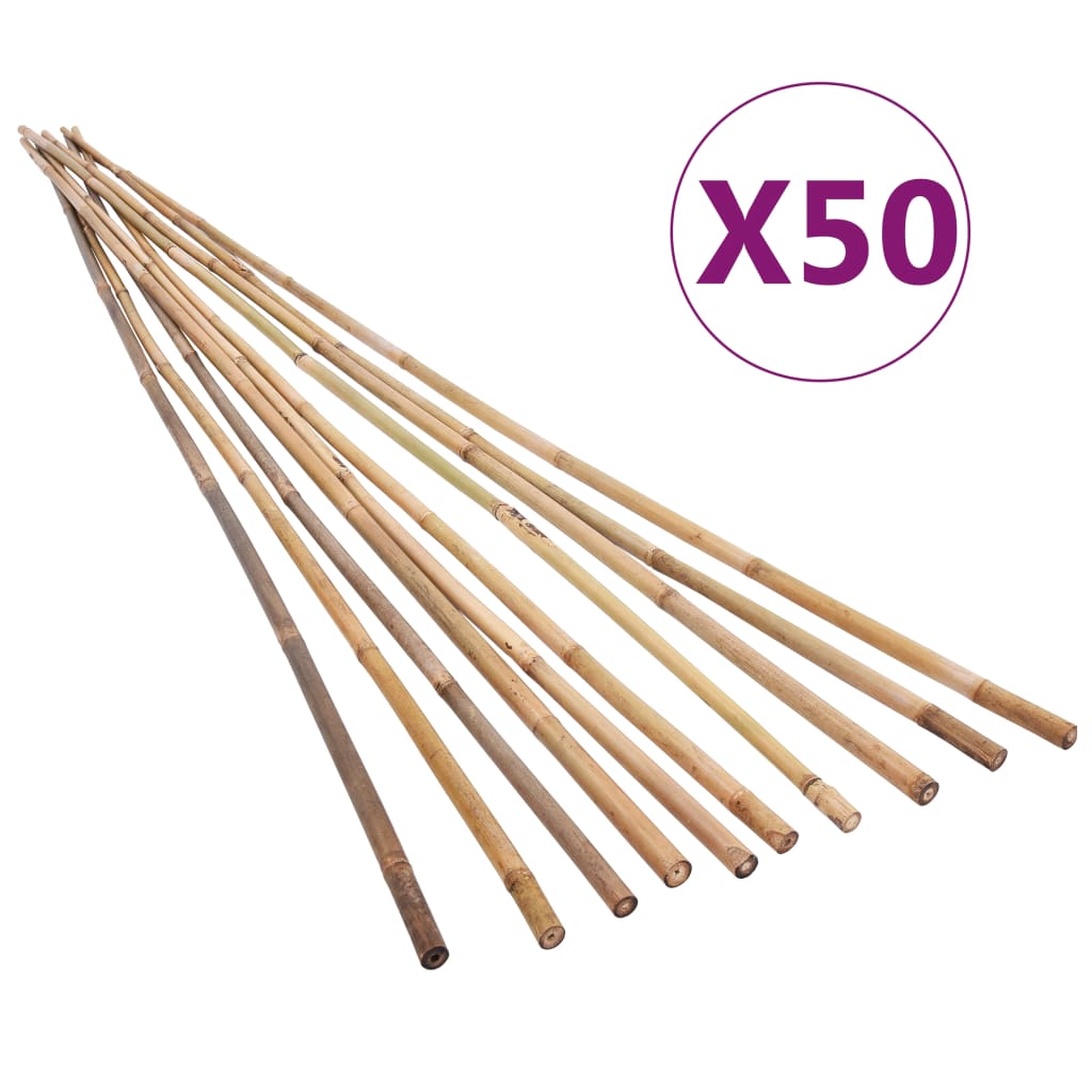 vidaXL bambusvaiad 50 tk 170 cm