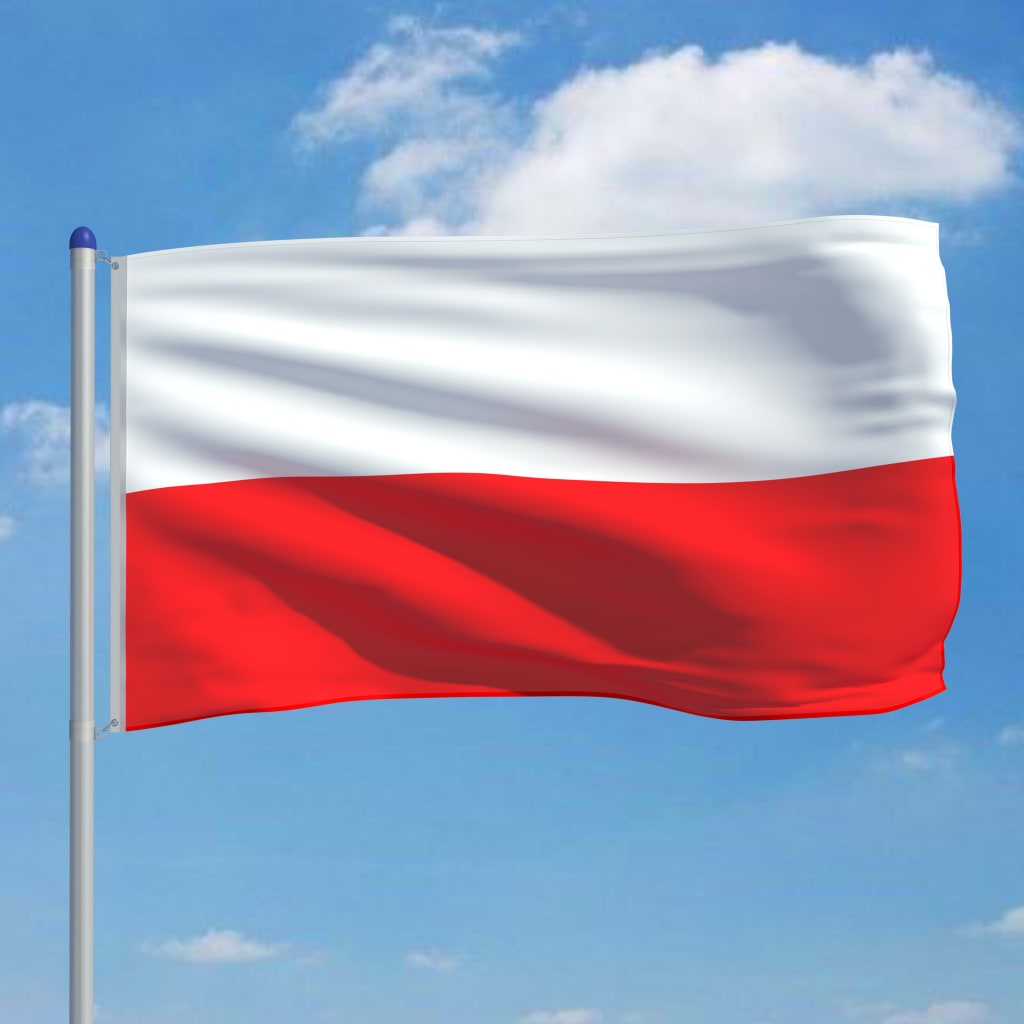 vidaXL Poola lipp ja lipumast, alumiinium, 6 m