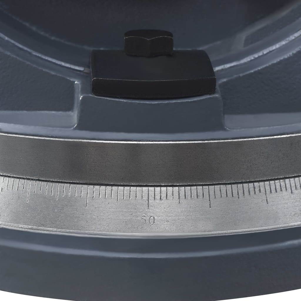 vidaXL kaheteljelised kallutatavad kruustangid, 160 mm