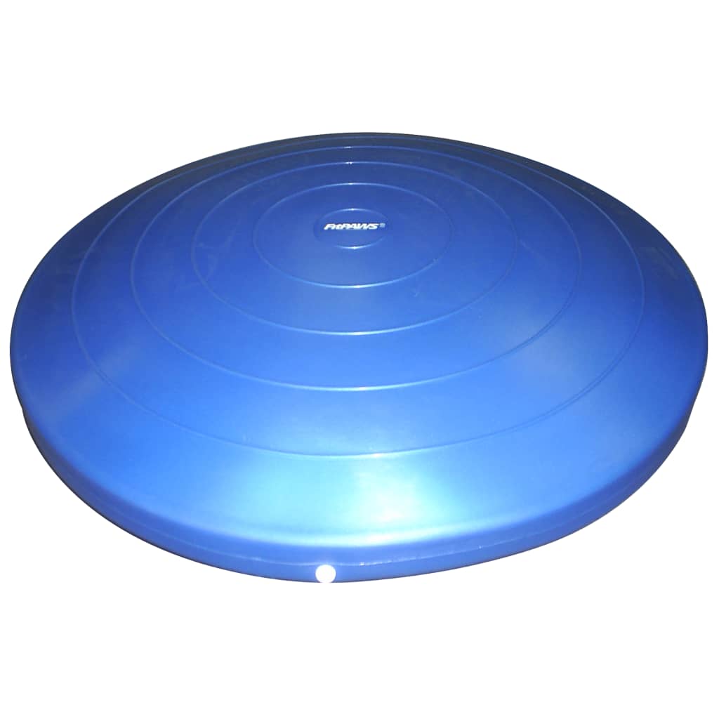 FitPAWS lemmiklooma tasakaaluketas, 56 cm, sinine