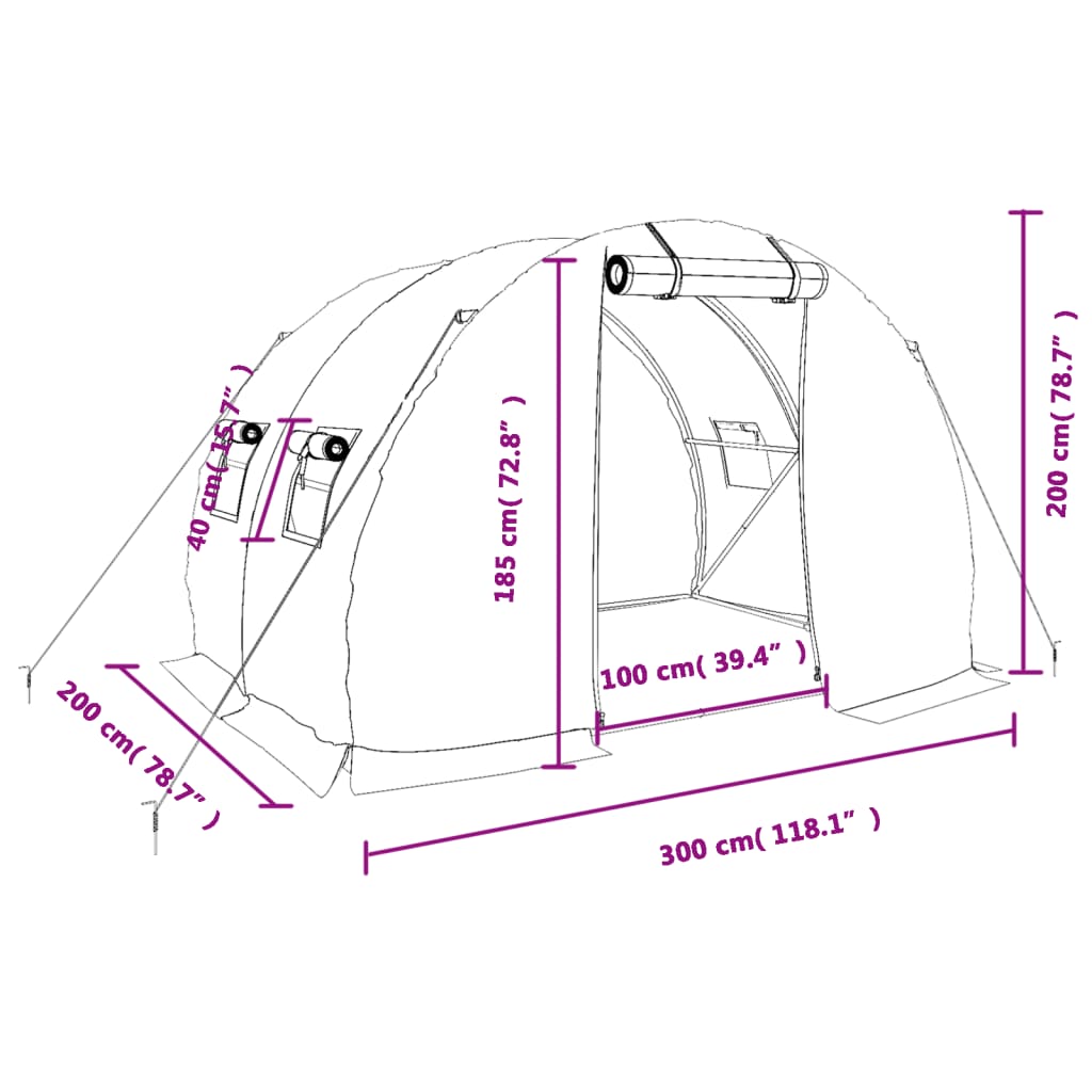 vidaXL kasvuhoone terasraamiga, valge, 6 m², 3x2x2 m