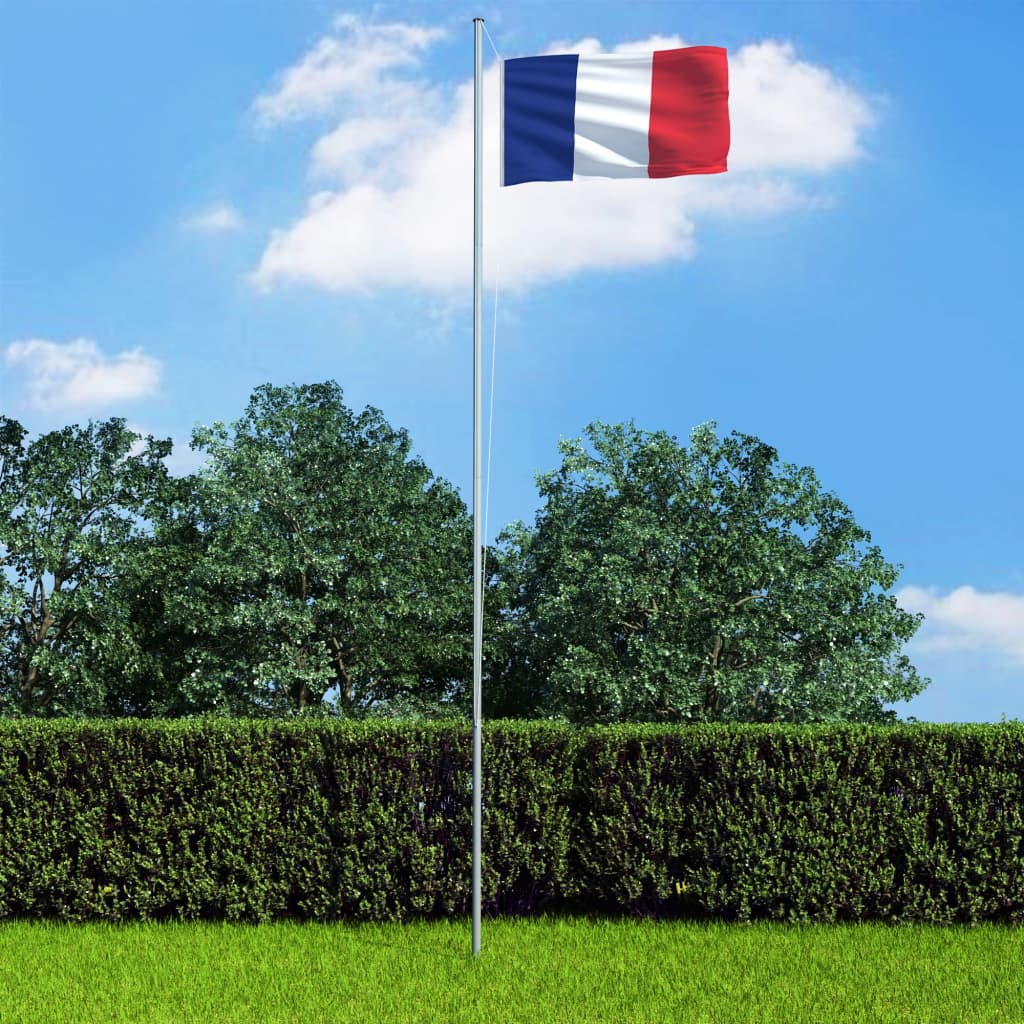 vidaXL Prantsusmaa lipp ja lipumast, alumiinium, 6,2 m