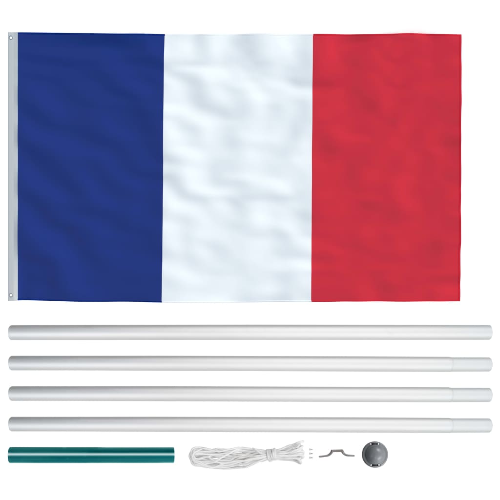 vidaXL Prantsusmaa lipp ja lipumast, alumiinium, 6,2 m