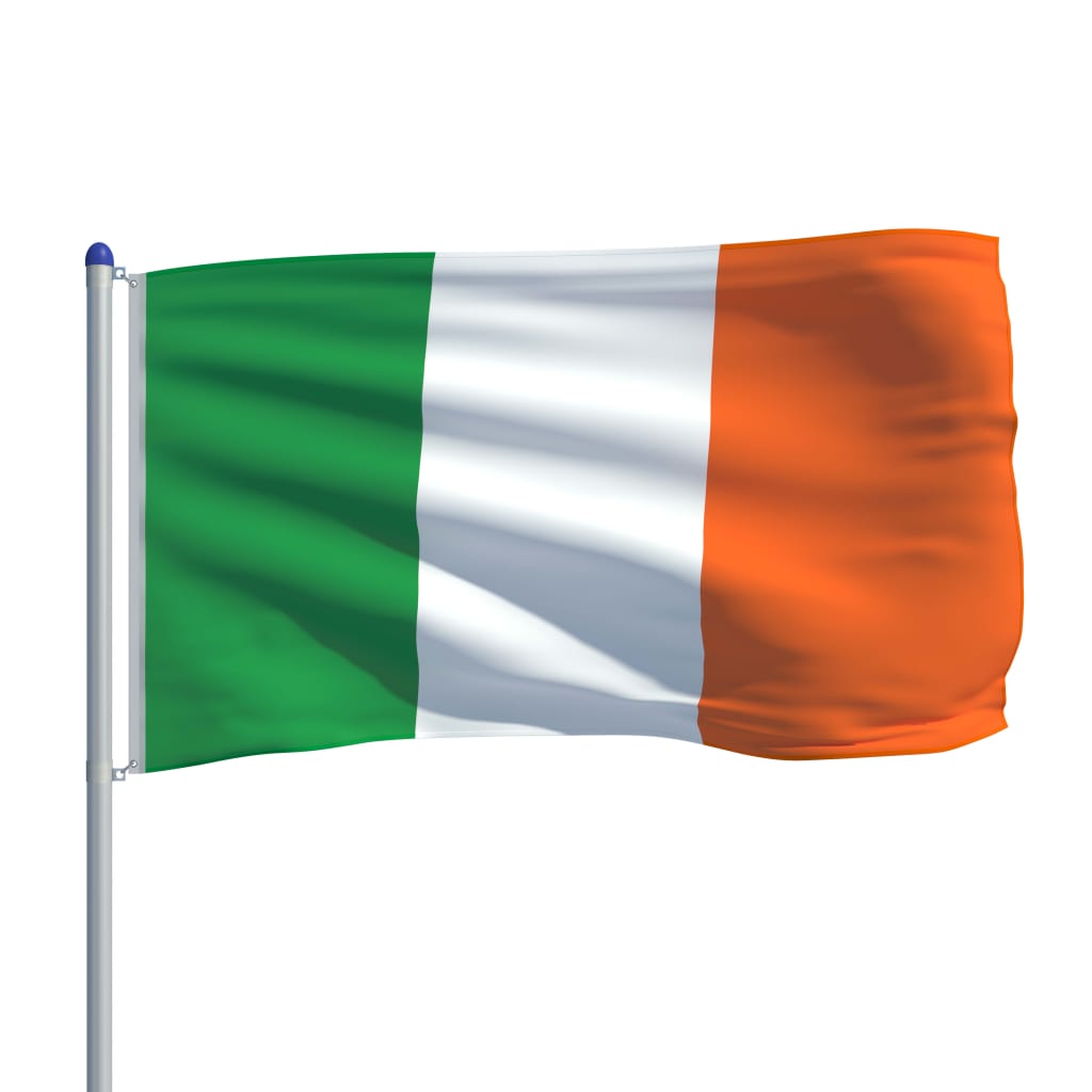 vidaXL Iirimaa lipp ja lipumast, alumiinium, 6 m