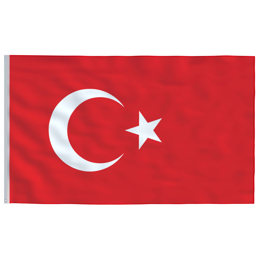 vidaXL Türgi lipp ja lipumast, 5,55 m, alumiinium