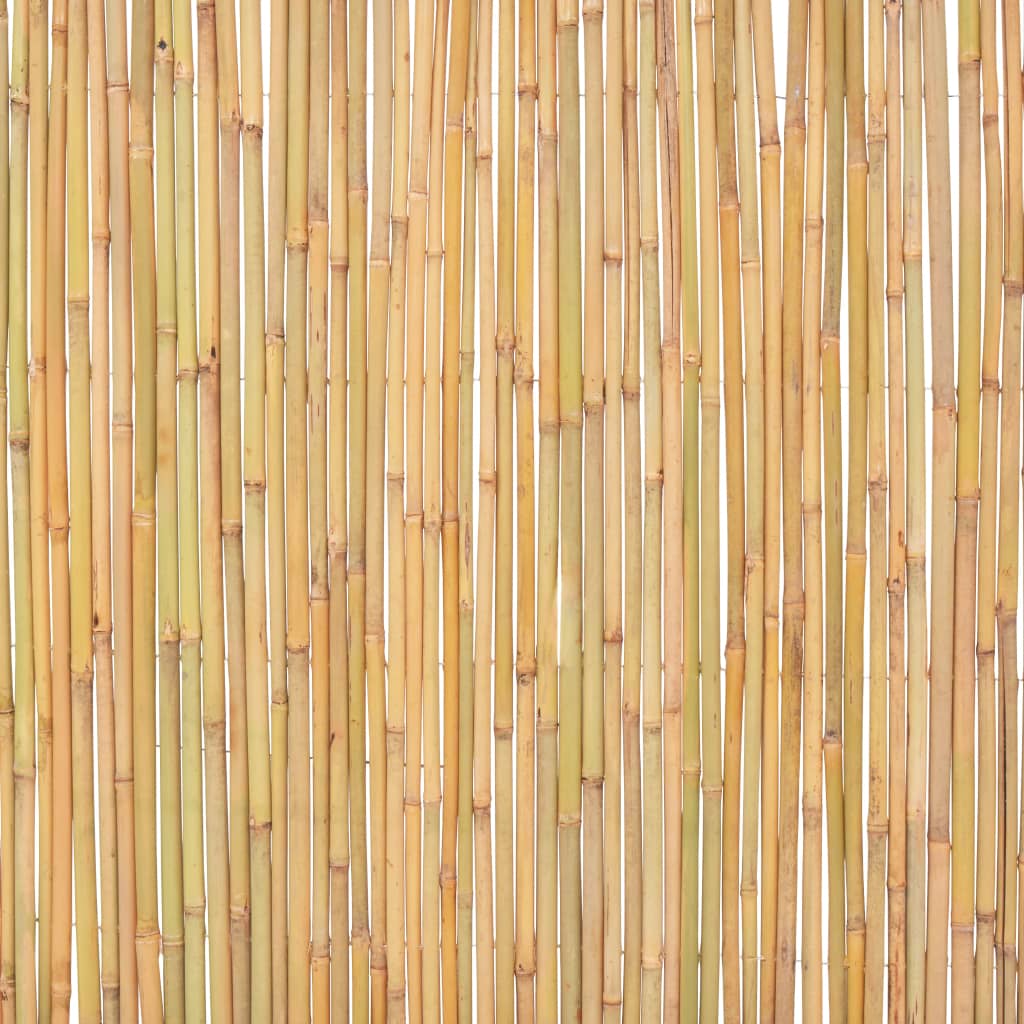 vidaXL bambusaed, 300 x 100 cm