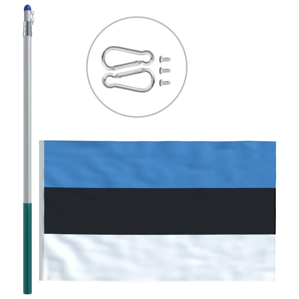 vidaXL Eesti lipp ja lipumast, alumiinium, 6 m