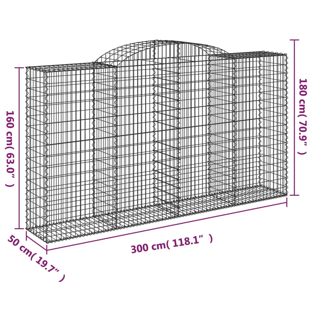 vidaXL kaarekujulised gabioonkorvid 20 tk, 300x50x160/180 cm, raud
