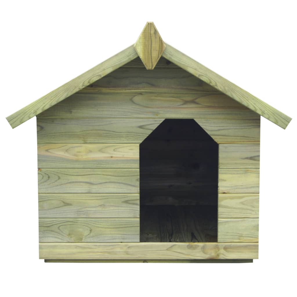 vidaXL koerakuut avatava katusega, immutatud männipuit