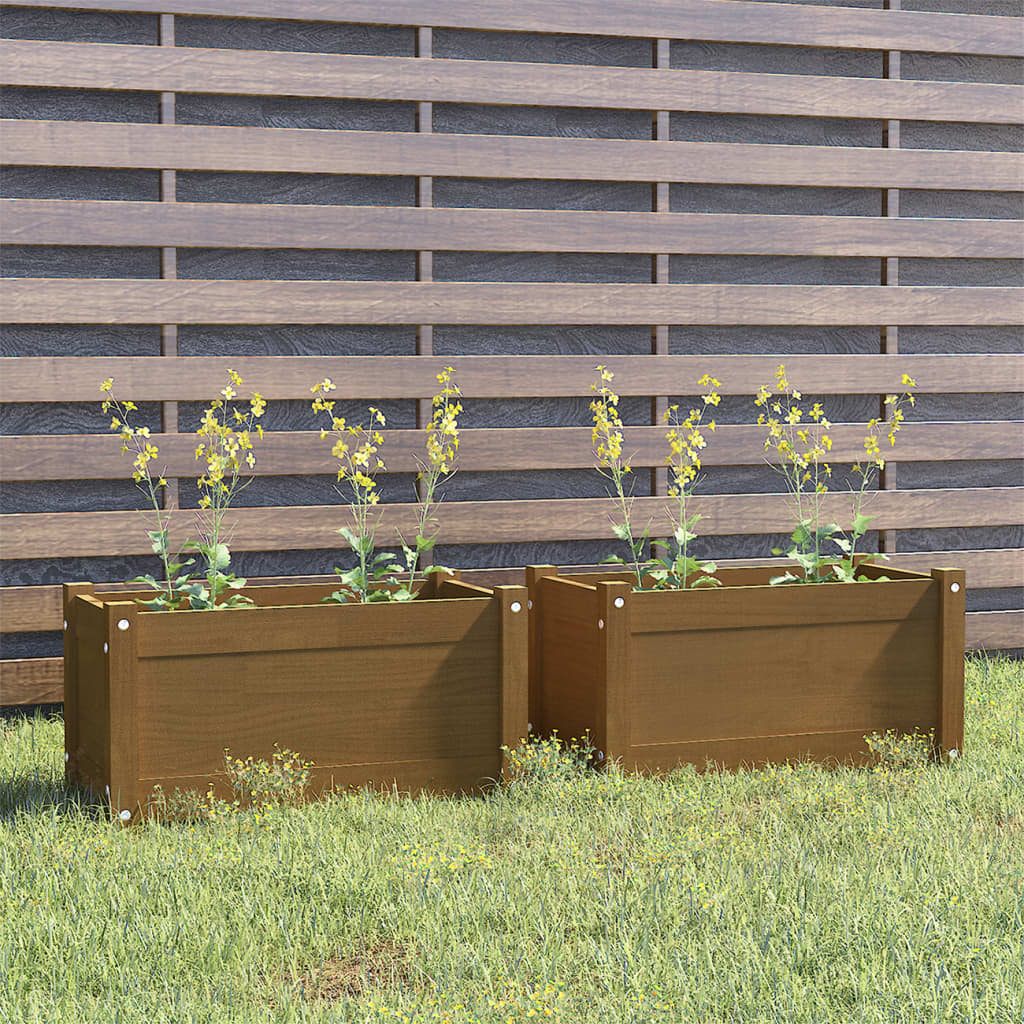 vidaXL aia taimekast 2 tk, 60 x 31 x 31 cm, meekarva, toekas männipuit