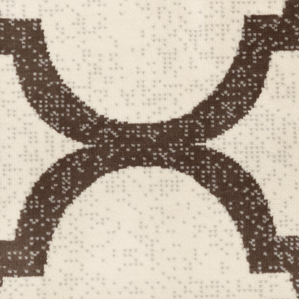 vidaXL toa- ja õuevaip, lühikese narmaga, mitmevärviline, 80 x 300 cm